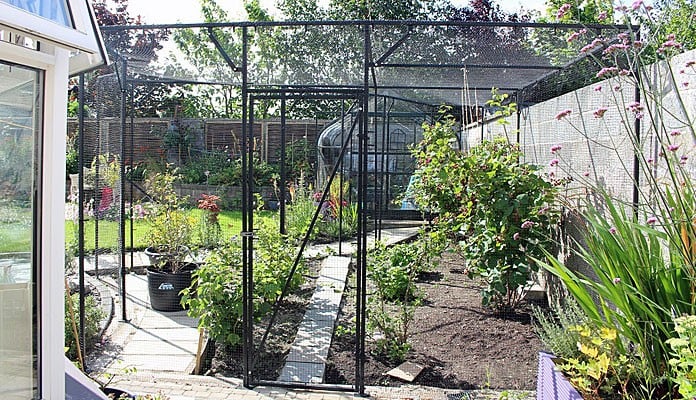 Fruit Cage Steel Angled Sloped After, Mr M - Ireland