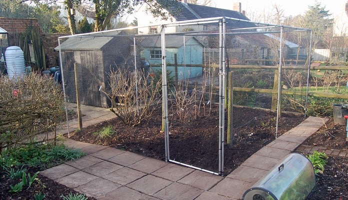 4m x 3.5m Aluminium Fruit Cage, Mrs Rankine - Avon