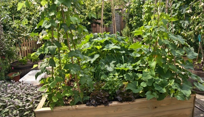 6ft x 8ft Allotment Raised Beds, Mrs. Titchiner - Suffolk