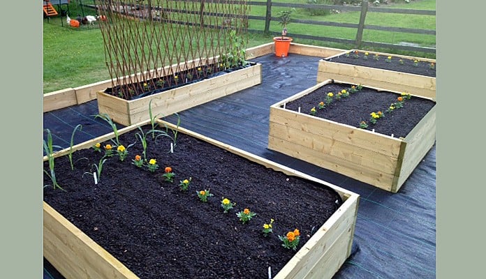 4ft x 4ft, 4ft x 6ft, 2ft x 8ft Standard Raised Beds, Mrs Thomson, Powys