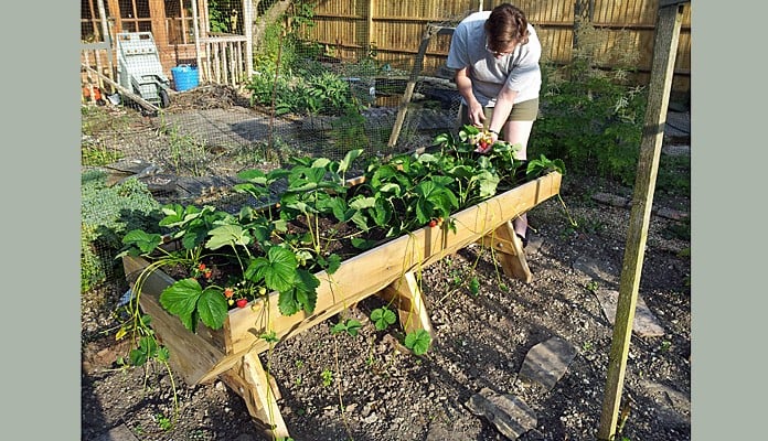 6ft Mini Manger, Mr and Mrs West - Hampshire