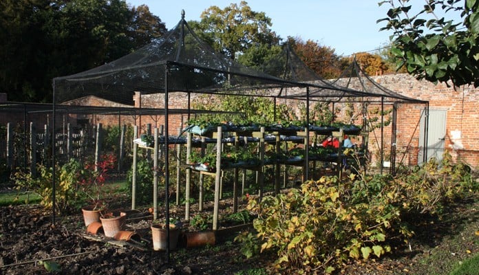 3 x 2.5x2.5m Decorative Peak Roof Steel Cages, National Trust The Vyne - Basingstoke