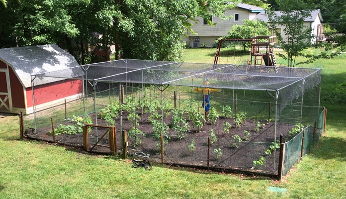 8m x 5m Aluminium Fruit Cage, Mr Musick - Michigan USA