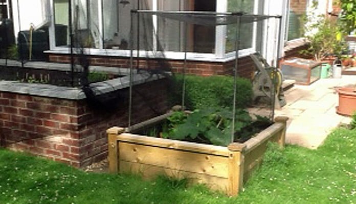 4ft x 4ft Superior Raised Bed, Mr Wright, Dorset