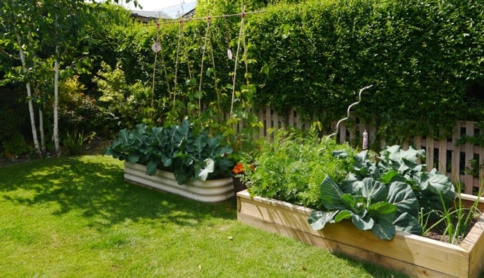 4ft x 6ft Standard Raised Bed, Mrs Kenyon - Nottinghamshire 