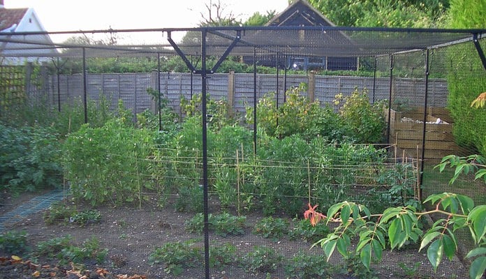 8.1m x 7.8m Bespoke Steel Fruit Cage, Mr and Mrs Margason - Suffolk