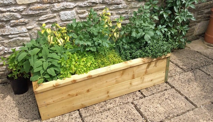 2ft x 4ft Standard Raised Bed, Mrs Warren - Wiltshire 2ft x 4ft Standard Raised Bed, Mrs Warren - Wiltshire