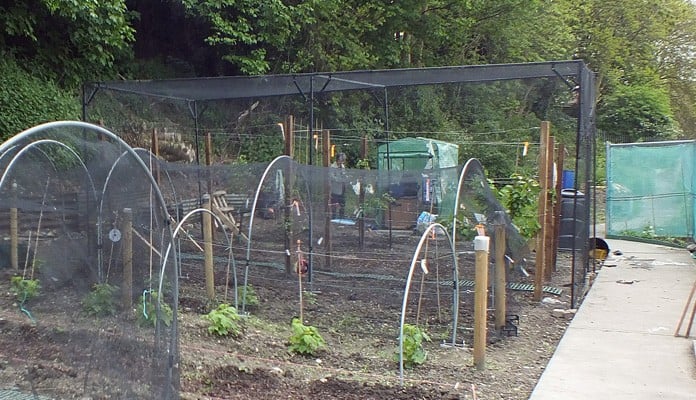 6.5m x 3.5m Bespoke Steel Fruit Cage, Mrs James - Kent 6.5m x 3.5m Bespoke Steel Fruit Cage, Mrs James - Kent