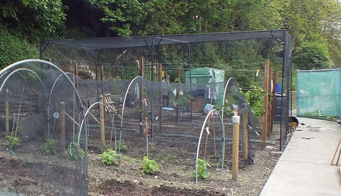 6.5m x 3.5m Bespoke Steel Fruit Cage, Mrs James - Kent