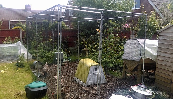 2.25m x 4m Aluminium Poultry Cage, Mr Parrott - Greater Manchester