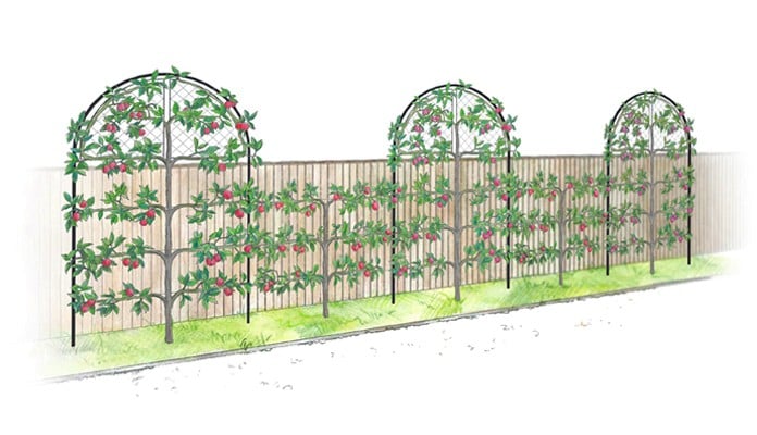 Roman Hoop Arches with Top Mesh Panel Design Roman Hoop Arches with Top Mesh Panel Design