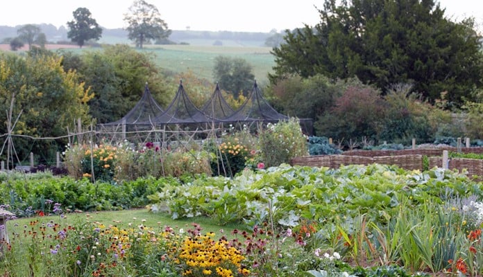 3m x 3m Peak Roof Cage - Kitchen Garden Pensons Restaurant, Netherwood Estate, Worcestershire