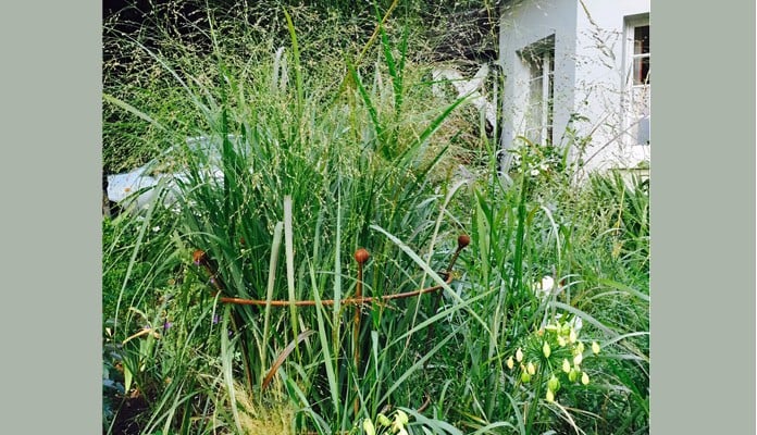 90cm H Rust Trumpet Plant Support, Mrs Fontaine - Surrey 90cm H Rust Trumpet Plant Support, Mrs Fontaine - Surrey