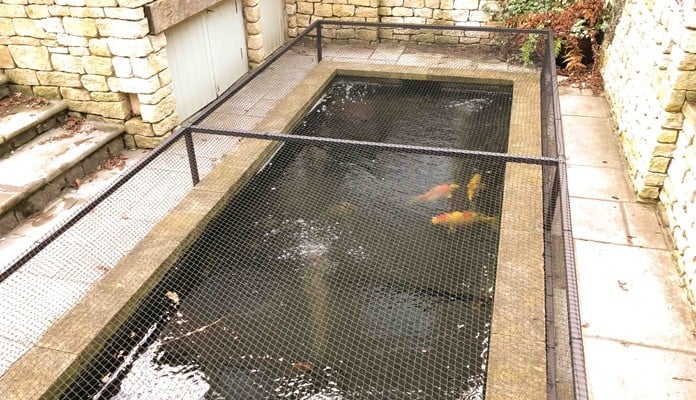 Pond Covers and Ponds-Customer Gallery