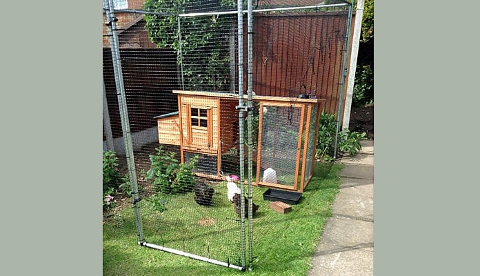 2.5m x 3m Aluminium Poultry Cage, Mrs Lynch - Stafforrdshire 2.5m x 3m Aluminium Poultry Cage, Mrs Lynch - Stafforrdshire