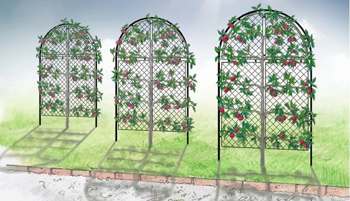 Roman Hoop Arches Design with Full Mesh Panels Roman Hoop Arches Design with Full Mesh Panels