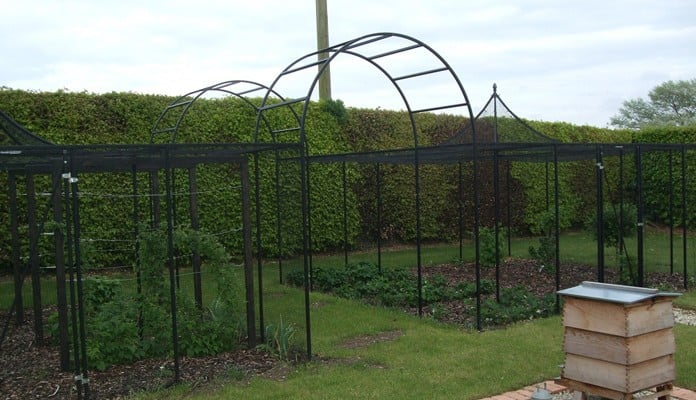 Decorative Cage & Roman Arches