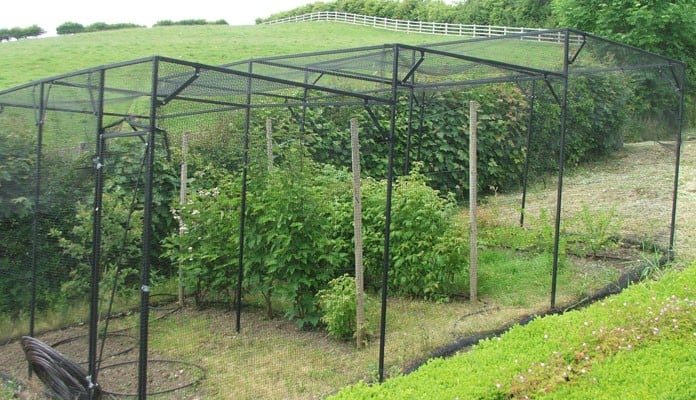 Stepped Fruit Cage