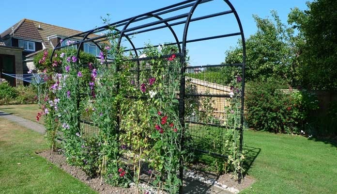 Roman Pergola, Mr Foggon - Dorset