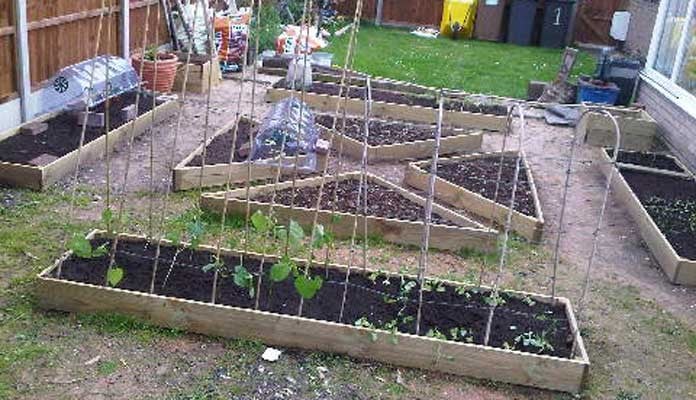 1 Tier Allotment Corner Raised Beds, Miss Chisnell - Lincolnshire