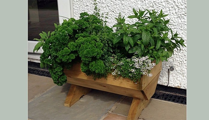 2ft Micro Manger, Mrs Mahoney - Surrey 2ft Micro Manger, Mrs Mahoney - Surrey