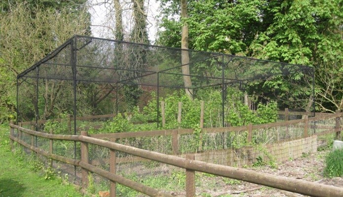 Bespoke Sloped Steel Fruit Cage