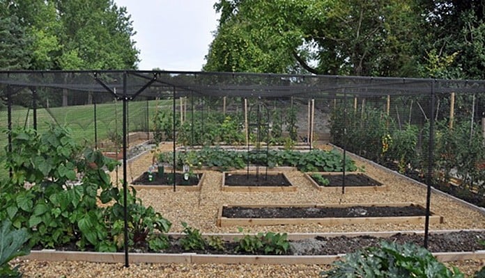 12m x 8m Steel Fruit Cage, Mr and Mrs McBride - Cambridgeshire