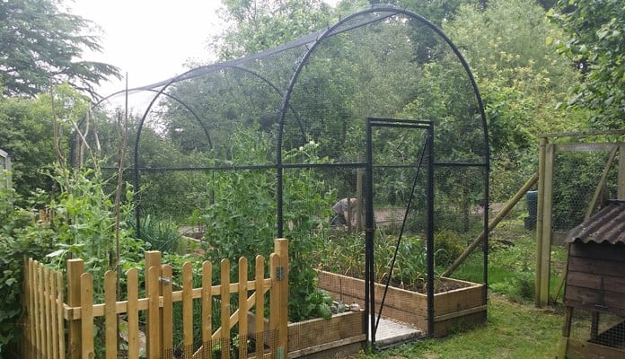 6m Roman Arch Fruit Cage, Mr St. Claire Jones, The Veg Patch People - East Sussex 6m Roman Arch Fruit Cage, Mr St. Claire Jones, The Veg Patch People - East Sussex