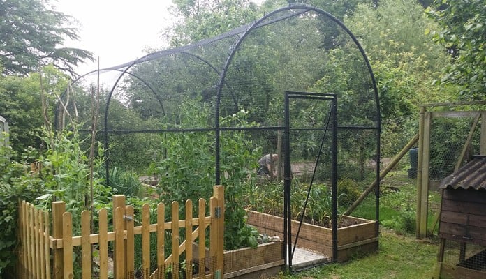 6m Roman Arch Fruit Cage, Mr St. Claire Jones, The Veg Patch People - East Sussex