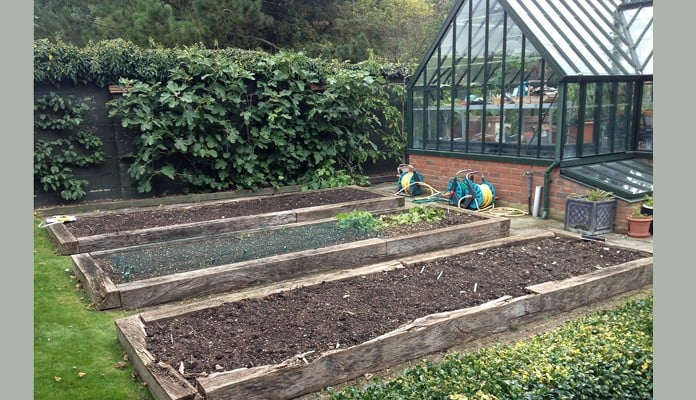 Before - Roman Arch Fruit Cage