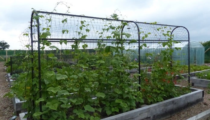 Bespoke Bean Frame - Mr and Mrs Ford, Devon