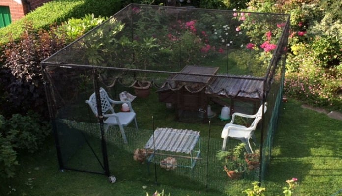 3m x 3.5m Steel Poultry Cage, Mr Ascott - Leeds 3m x 3.5m Steel Poultry Cage, Mr Ascott - Leeds
