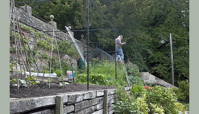 Fruit Cage Construction 2013