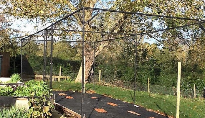 Fruit Cage Steel Sloped 3 Fruit Cage Steel Sloped 3