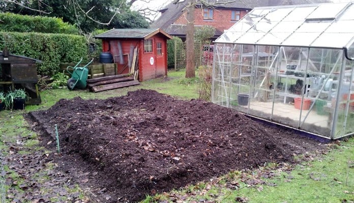 Fruit Cage Steel Roman Arch 2 Before