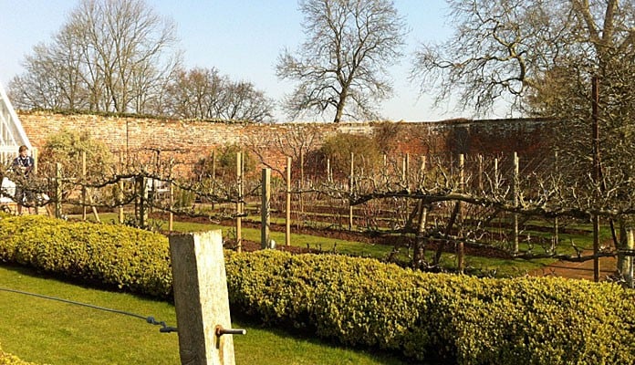 Walled Kitchen Garden Before 1