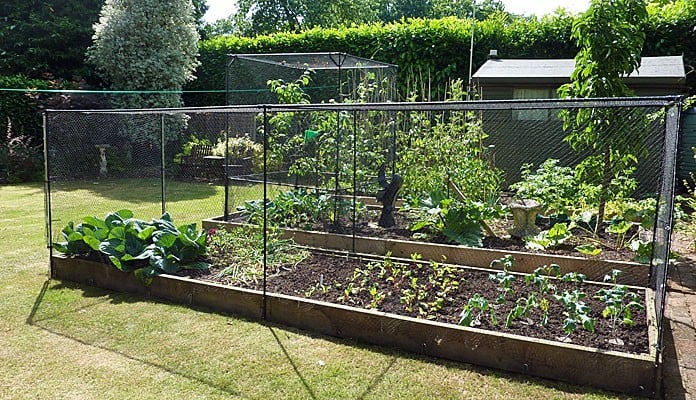 4.7 x 1.3m Bespoke Aluminium Vegetable Cage Kit, Mr Davies - Hampshire