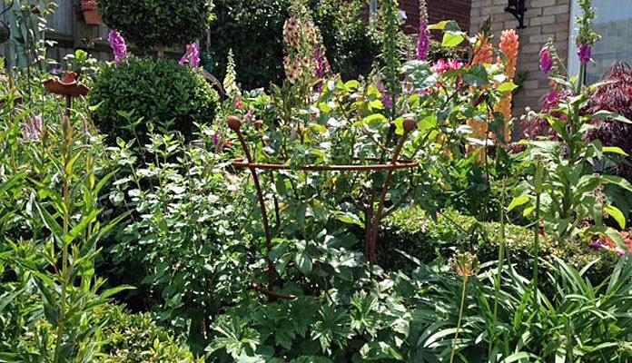 40cm Dia Rust Trumpet Plant Support, Mrs Uden - Norfolk 40cm Dia Rust Trumpet Plant Support, Mrs Uden - Norfolk