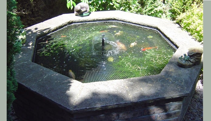 Pond Cover Raised Steel Angled Before