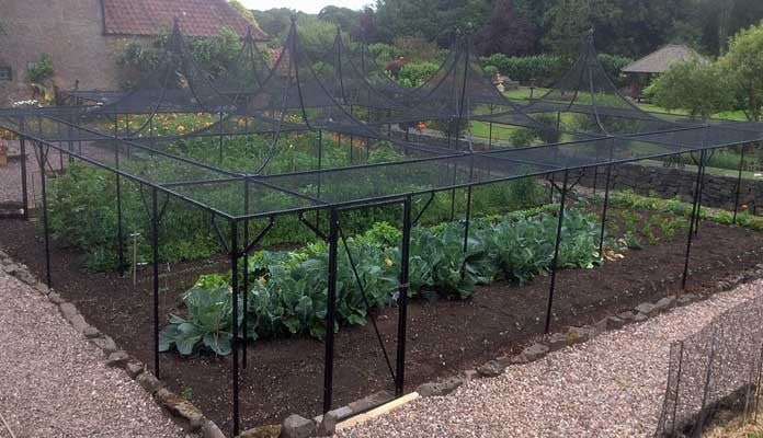 Fruit Cage Steel Peaks with Cut Out 1 Fruit Cage Steel Peaks with Cut Out 1