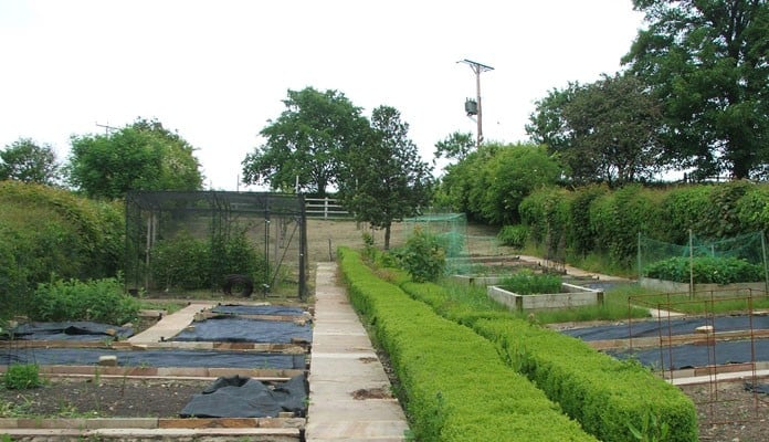 Stepped Fruit Cage