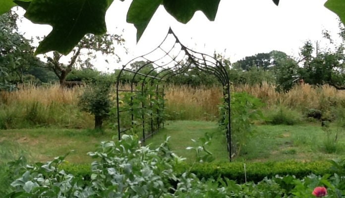 2m W x 3.08m L Ogee Pergola, Mrs Inge - Pewsey 2m W x 3.08m L Ogee Pergola, Mrs Inge - Pewsey
