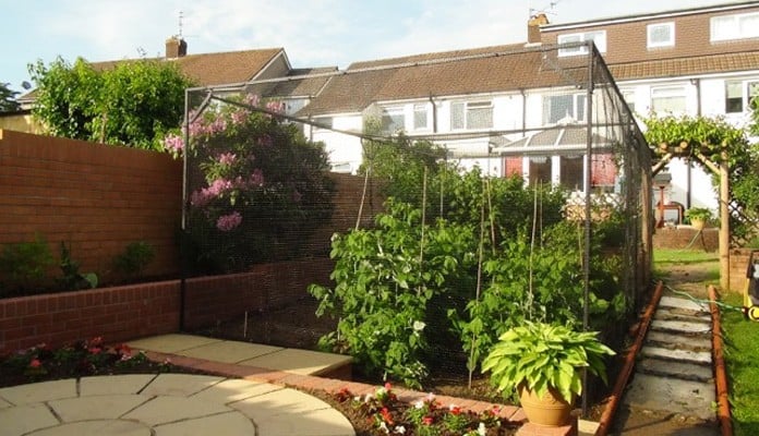 Bespoke Steel Fruit Cage