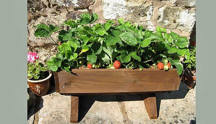 2ft Micro Manger, Mrs Creek - Herefordshire 2ft Micro Manger, Mrs Creek - Herefordshire
