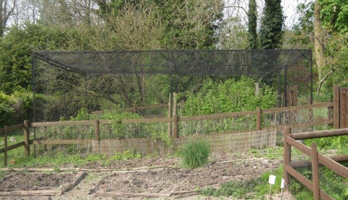 Bespoke Sloped Steel Fruit Cage