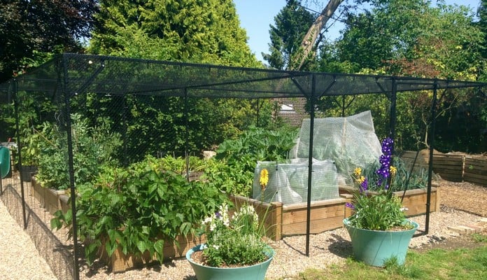 6m x 6m Steel Fruit Cage, Mrs Roberts - Buckinghamshire