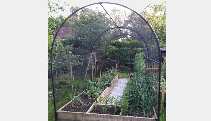 Roman Arch Fruit Cage, Mr St. Claire Jones, The Veg Patch People - East Sussex Roman Arch Fruit Cage, Mr St. Claire Jones, The Veg Patch People - East Sussex