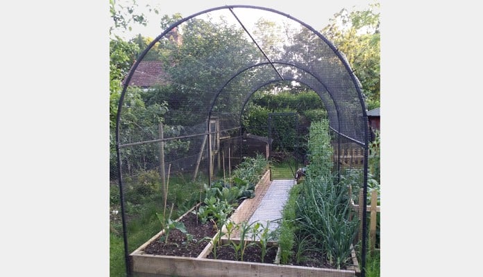 Roman Arch Fruit Cage, Mr St. Claire Jones, The Veg Patch People - East Sussex