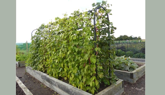 Bespoke Bean Frame - Mr and Mrs Ford, Devon