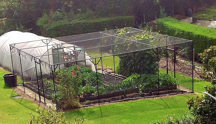 Fruit Cage Steel Sloped 2